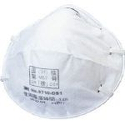 Disposable Dust Mask 8710