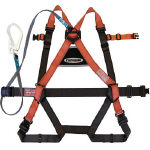 Safety Belts Image