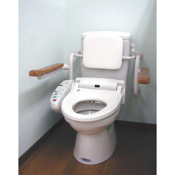 Handrail with Backrest for Toilets, Wall Mounted Type