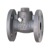 Stainless Steel General-Purpose 10K Swing Check (SCS13A) Valve Flange