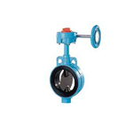 Butterfly Valve 602A-G (Gear Type), Rubber Seated 602A-G-5B-5K