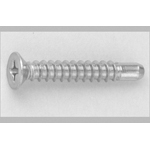 Cross Recessed Small Flat Head Tapping Screws, 2 Models with Guide, BRP Shape, G=5 D=7 CSPLCSB7-SUSGJB-TP4-30