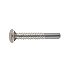 Cross Recessed Flat Head Tapping Screws, 2 Models with Guide, BRP Shape, G=10 CSPCSSG-SUS-TP4-30