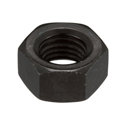 Hex Nut 2 Type Other Fine Details HNTO2-SUS-MS30