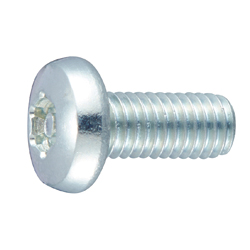 TRX Tamper-proof Bind Machine Screw