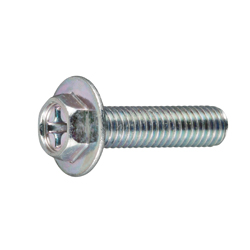 Hex TP Small Screw with Phillips Head HXPHF-STN-M5-10