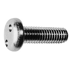 TRF/Tamper-Proof Screw, Stainless Steel, Two-Hole, Small Pot Screw CS2PNH-SUS-M6-20