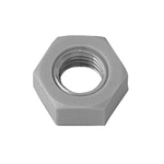 PEEK Hex Nut