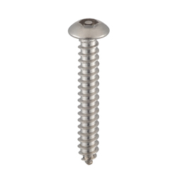 Tamper-Proof Set Tapping Screw with Pin and Hex Button Socket HE034232
