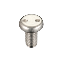Two-Hole Pan Head Tamper-Proof Screw SP010412