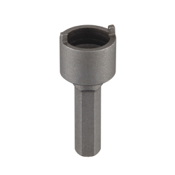 Bit used for tamperproof screw and two hole nut