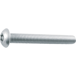 6 rob button bolt (stainless steel) B106-0510