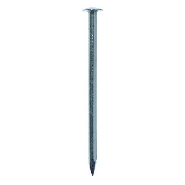 Stainless Steel Round Head Nail