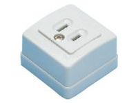 Domestic Blade Model Outlet-Exposed Outlet/2-Prong, 2-Prong + Ground Model WK3001W