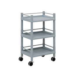 Mobile Storage Cart 3 Sages 540 x 370 x 875 (With Guard Frame And Handle)