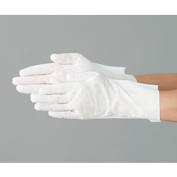 Cleanroom Gloves (SL Type)