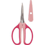 Craft scissors (for flower arrangement)