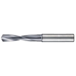 End Mill Shank Drill 3 × D for Carbide Processing H 1946 1946-006.900