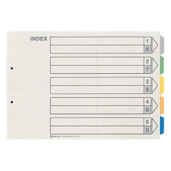 Color Index, Standard: B4 Portrait Type, Number of Holes: 2, Specifications: 5 Colors / 5 Tabs / 6-Piece Set