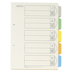 Color Index, Standard: B5 Landscape Type, Number of Holes: 2, Specifications: 5 Colors / 5 Tabs / 6-Piece Set