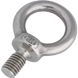 Eyebolt Made from Stainless Steel M8–M12 B-1378