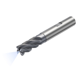 CoroMill Plura End Mill For Roughing, With Lubrication Hole R215.34 (Hardness < 28 HRC) R215.34C08040-DC19K-1640