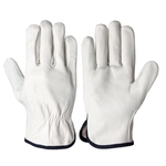 Fine Leather Gloves 720P White