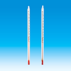 Rectangular Red Liquid Thermometer