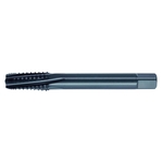 Long Shank Interrupted Taps for Taper Pipe Threads, Long (ℓg) Type_LS-INT-PT TINT06-L10