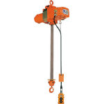 Hoists Image