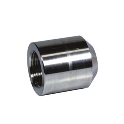 Screw-in Fitting PT BS / Boss Coupling for High Pressure PTBS-10A-SU6L