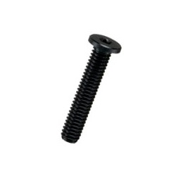 Reny Extra Low Head Bolt with Hexalobular Hole / RYHS-0000