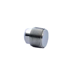 Stainless Steel Screw-in Pipe Fitting, Square Plug P Type