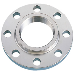 Stainless Steel Screw-In Pipe Fitting, Flange