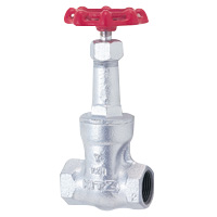 10K Screw-In Gate Valve, General Purpose Ductile Iron 10SMS-20A