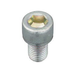 Plated Hex Socket Head Bolt