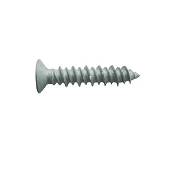 Shrimp mark plug-less screw (screw fixed type and countersunk head)
