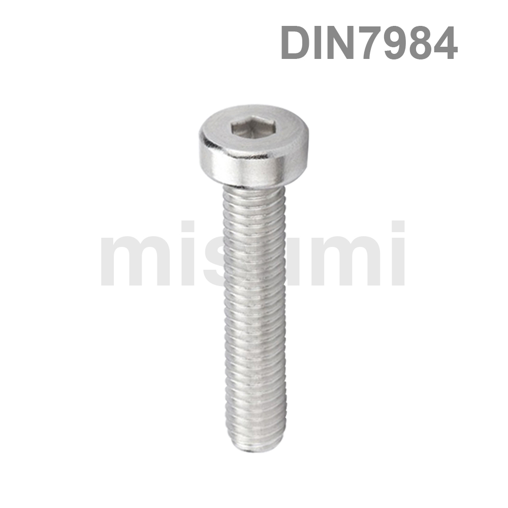 Low Head Hex Socket Head Cap Screws - Stainless Steel SUS304