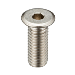 Ultra Low-Profile Head Bolt With Hex Socket SSH SSHS-M4X12