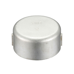 Stainless Steel Cap SFC and SMC SFC-20