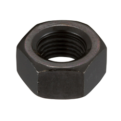 Hex Nut 2 Type Fine Details HNT2-S45CCB-MS10