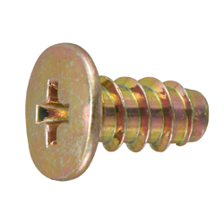 Type 2B-O Extra-Low Phillips Head Tapping Screw Without Grooves (AHN) CSPELS2-ST3B-TP3-10