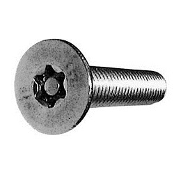 TRF/Tamper-Proof Screw, Stainless Steel Pin, Small Plate TRX Screw CSXCSHP-SUSNIROCK-M3-6