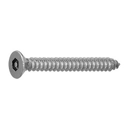 TRF/Tamper-Proof Screw, Stainless Steel Pin with Hexagonal Hole, Small Plate Tapping Screw (4 models, AB type) CSRCST-SUS-TP3.5-38