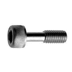 Stainless Steel Bolt with Hex Socket (Loss Prevention Screw) CSHHE-SUS-M4-6