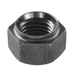 Hex Nut with Pilot