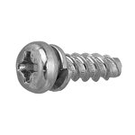 Tap-Tight P Type Pan Screw P=2 (SW) CSPPNHNDPP2-STTNB-TPT3-6