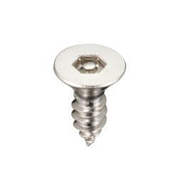 Tamper-Proof Set Tapping Screw with Pin and Flat Hex Socket