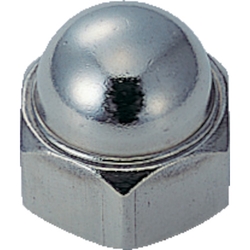 Cap nut (stainless steel) B400008