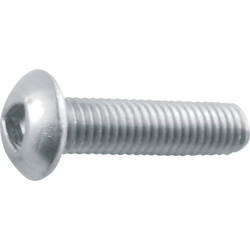 Triangular hole button bolt (stainless steel) B101-0520